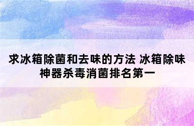 求冰箱除菌和去味的方法 冰箱除味神器杀毒消菌排名第一